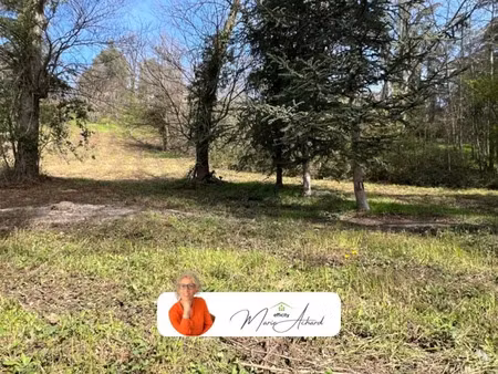 vente terrain 2320 m² à saint-martin-la-plaine (42800)  135 000 €