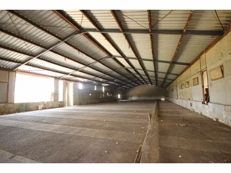 vente locaux professionnels 753 m² à amou (40330)  130 000 €