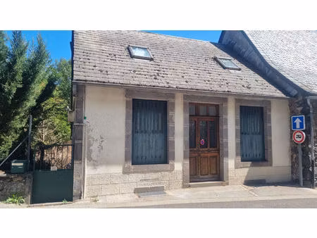 maison t9 murol à vendre
