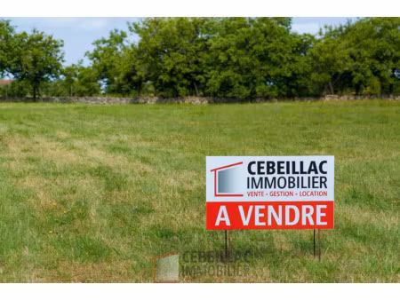 mur sur allier (mezel) - terrain constructible 791 m2