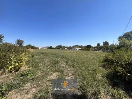 vente terrain 6096 m2 à la ronde