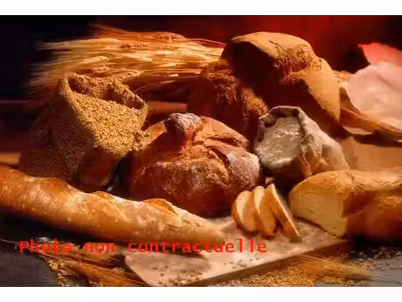 boulangerie - pâtisserie
