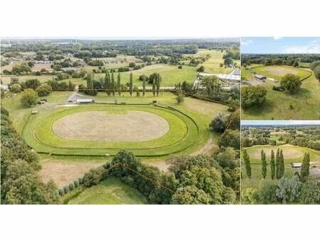 terrain à vendre à paalsesteenweg 91 beringen (rbu11668)