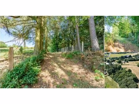 terrain à vendre à hourt 13 vielsalm (vbd12481)