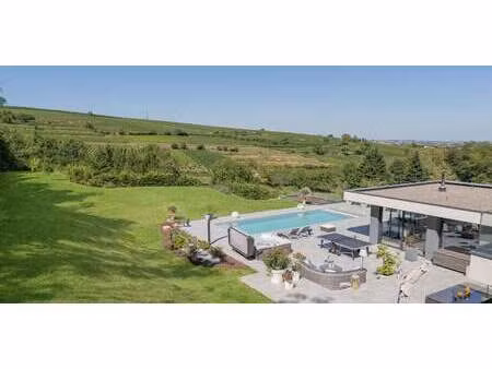 maison avec piscine et terrasse nordheim (67)