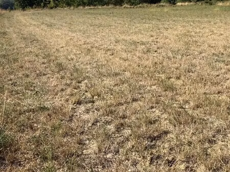 terrain constructible