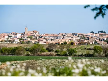 vente terrain 213 m² à servian (34290)  95 000 €