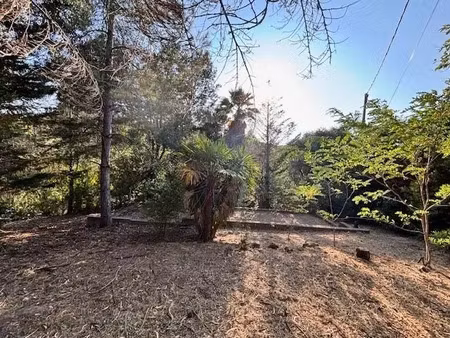 vente terrain à batir 1000 m² à oletta (20232)  150 000 €