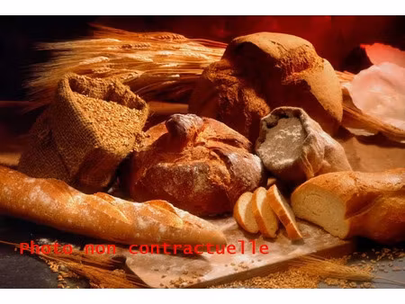 vente locaux professionnels 230 m² à allevard (38580)  350 000 €