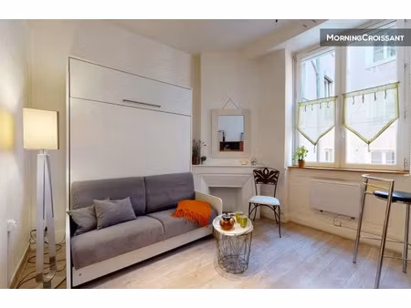 location meublée appartement 1 pièce 17 m² à lyon 1er (69001)  920 €