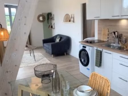 location meublée appartement 1 pièce 48 m² à carcassonne (11000)  1 700 €