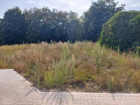 superbe terrain au calme