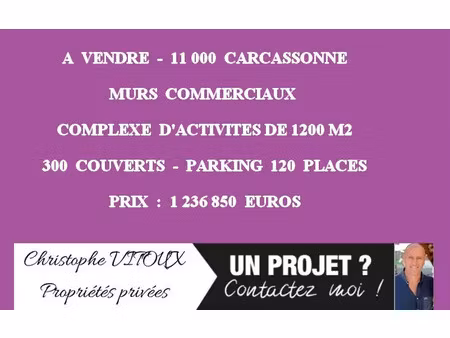 11000 carcassonne - murs commeriaux  complexe d'activites 1200 m²