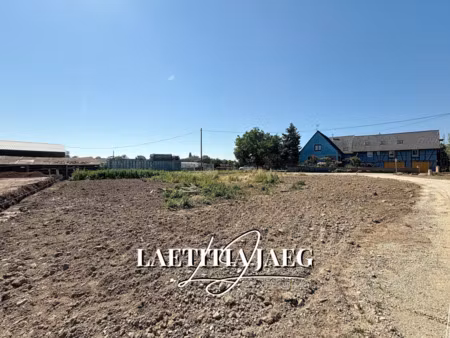 terrain - hors lotissement - en impasse - au calme - grande surface