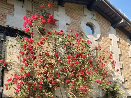 vente maison 8 pièces 240 m² à tizac-de-lapouyade (33620)  250 000 €