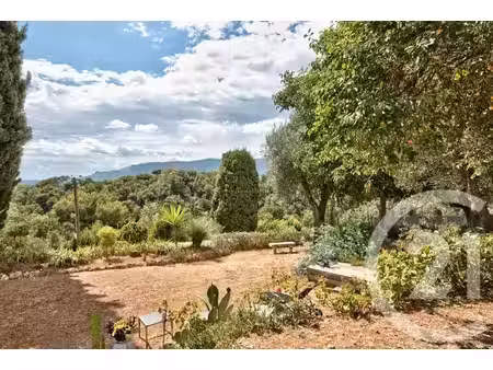 terrain à vendre - 11600 m2 - aspremont - 06 - provence-alpes-cote-d-azur