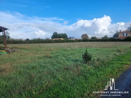 achat terrain 1 284m² petosse 85570