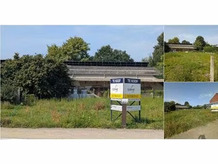 terrain à vendre de 275 m² à biévène (rbu11928)