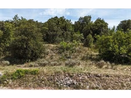 terrain saint-maurice-d'ibie m² t- à vendre  59 000 €