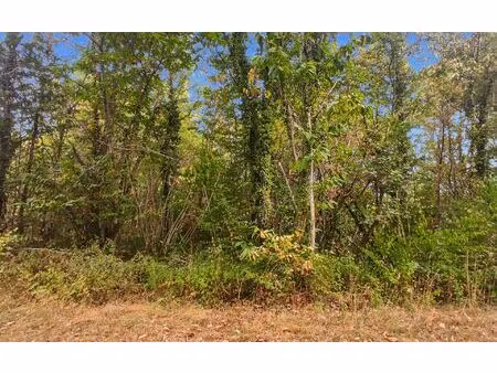 terrain saint-germain-du-salembre m² t- à vendre  30 500 €