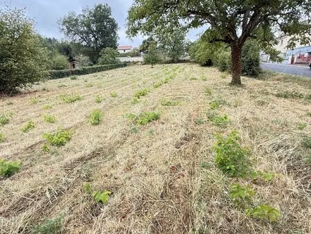 vente terrain 1780 m² cenon-sur-vienne (86530)