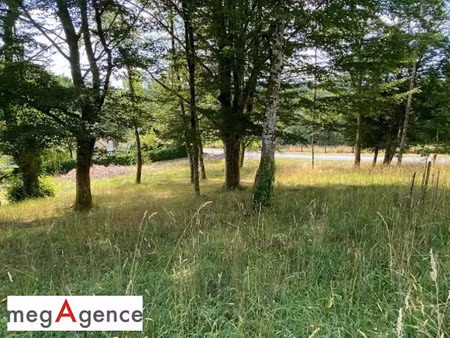 vente terrain 2281 m² à tulle (19000)  19 000 €
