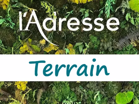 vente terrain 736 m² à mauléon-licharre (64130)  35 000 €