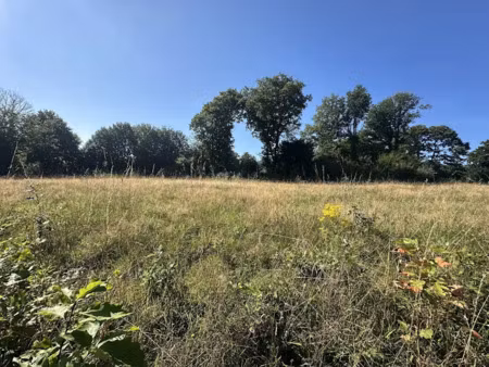 vente terrain 529 m² à baud (56150)  69 800 €