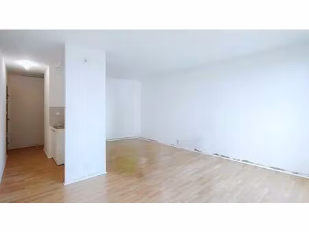 ideal investisseur ou prmier achat