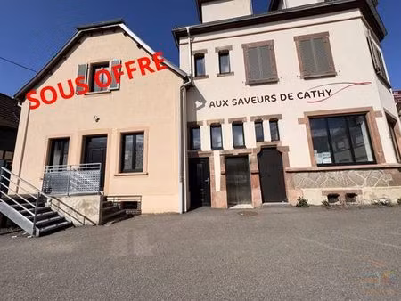 prestigieux immeuble de rapport en vente à huttenheim  grand est
