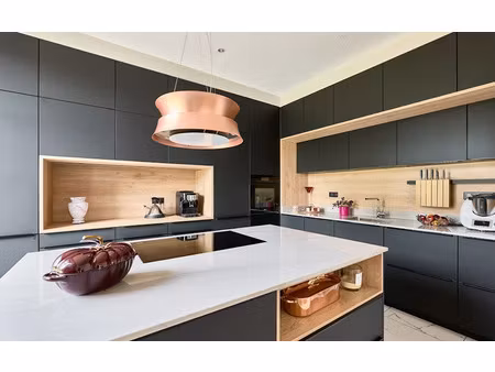 vente maison 11 pièces 470 m² à saint-maurice-sur-moselle (88560)  340 000 €