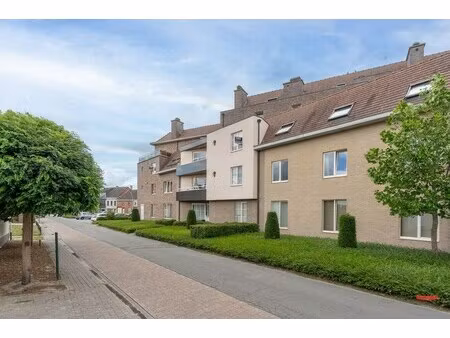 appartement te koop in ravels met 5 slaapkamers