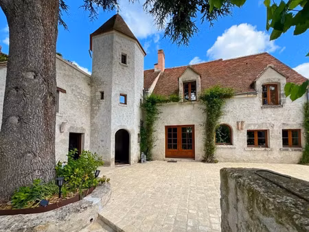 vente maison 8 pièces 521 m² à beaugency (45190)  795 000 €