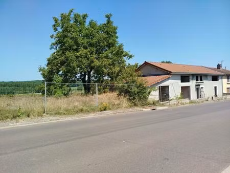 maison en cours de construction — toiture refaite à neuf — fort potentiel