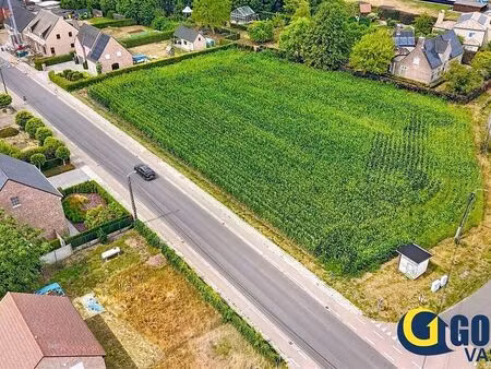terrain à vendre à booischot € 215.000 (lconq) - gorris vastgoed | zimmo