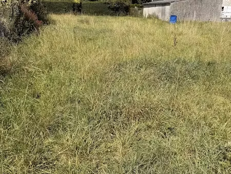 vente terrain 455 m² à monceaux-en-bessin (14400)  54 000 €