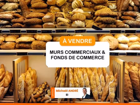 vente locaux professionnels 2 pièces 82 m² à aigues-mortes (30220)  430 000 €