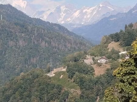 iad france dominique beranger