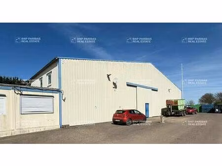 local d'activités à louer