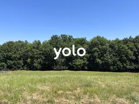 yolo immobilier