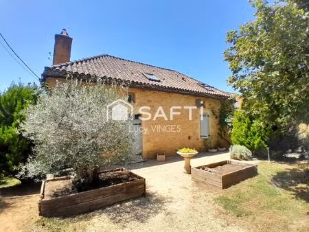 safti vinges lucy conseiller indépendant