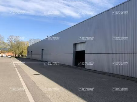 local d'activités à louer