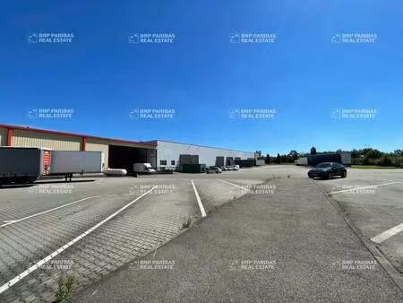 local d'activités à louer