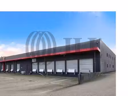 entrepôt à louer