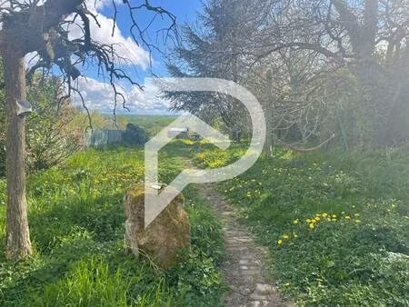 stephane plaza immobilier