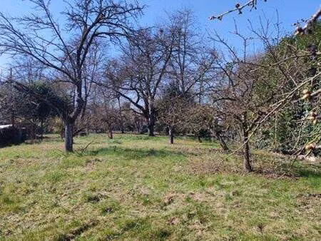terrain constructible à vendre