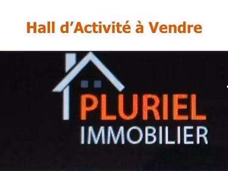 pluriel immobilier