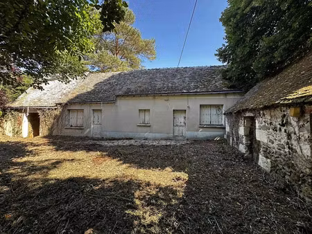 vente maison 2 pièces 62 m² à continvoir (37340)  39 000 €