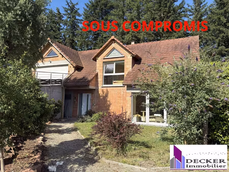 achat maison 6 pièces 146m² reipertswiller 67340