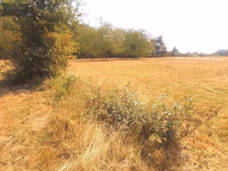 vente terrain grignols (33690)